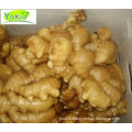 Kosher Laiwu Varieties Of Ginger